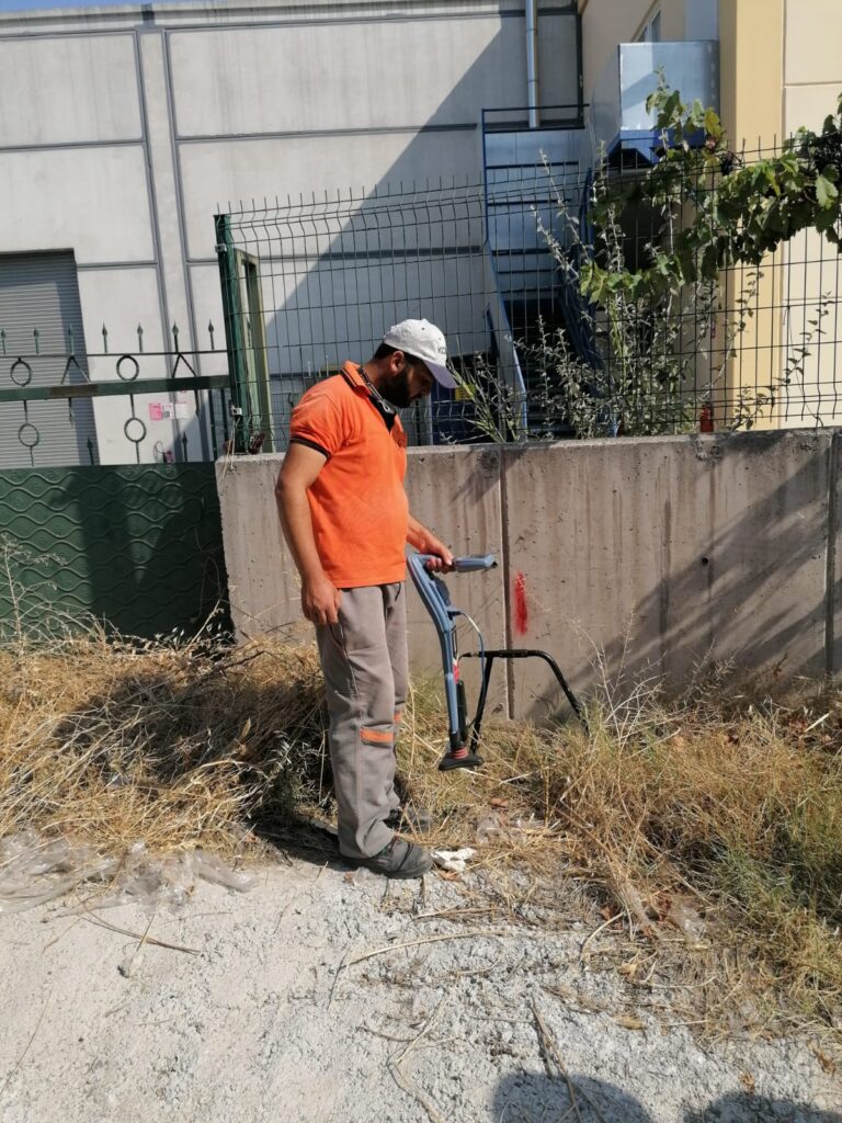 ACVG Survey çalışması