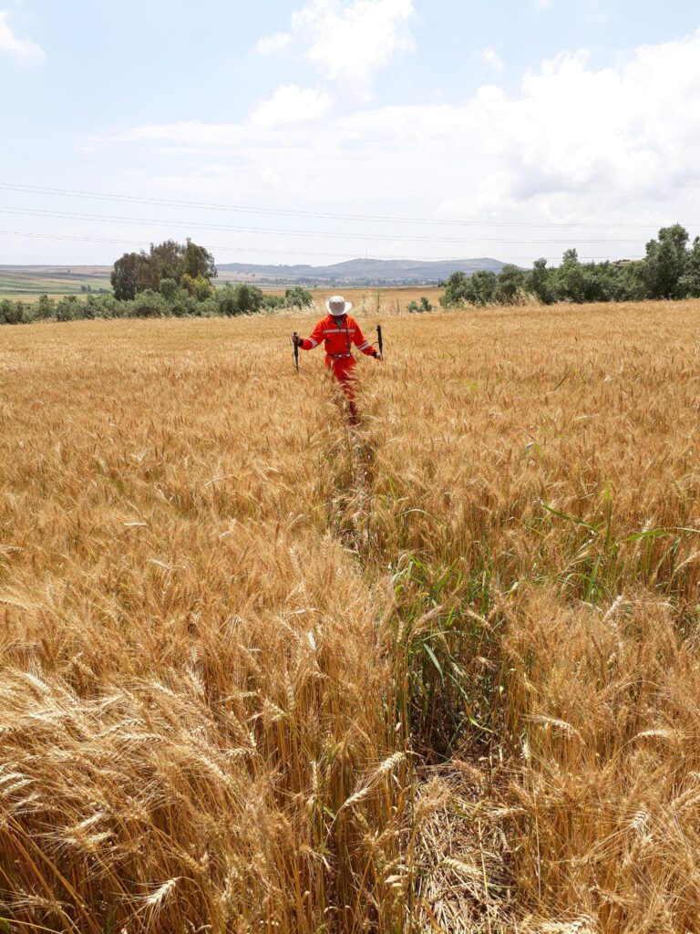 buyuk_201641ed1 - Enermak Enerji BIL BOTAŞ INTERNATIONAL DCVG SURVEY HİZMET İŞİ TAMAMLANMIŞTIR.