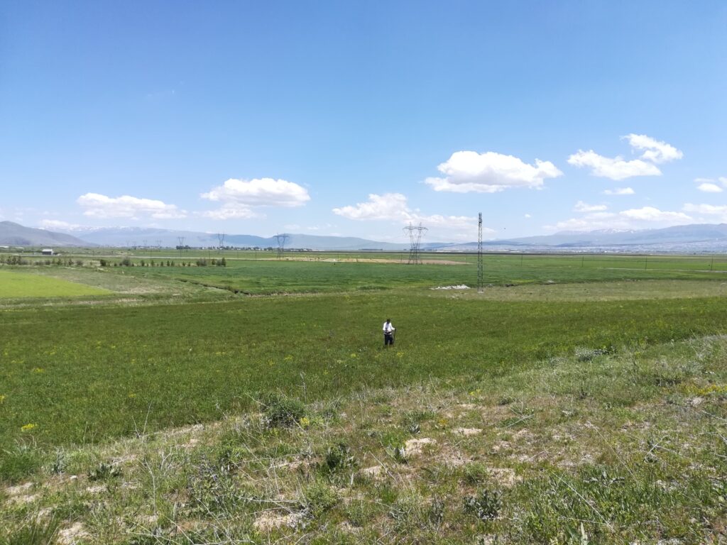 whatsapp-image-2020-09-23-at-09-12-42-21 - Enermak Enerji BIL - Bakü Tiflis Ceyhan Boru Hattı DCVG işi tamamlanmıştır.